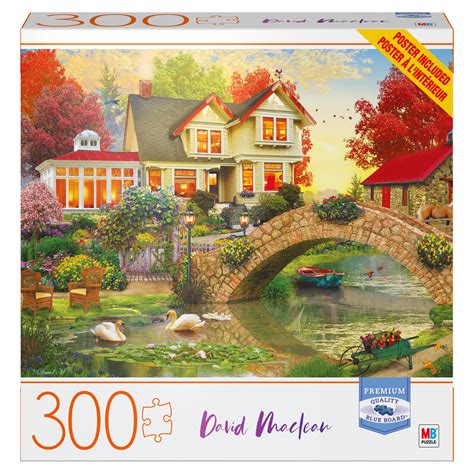 jigsaw puzzle 300